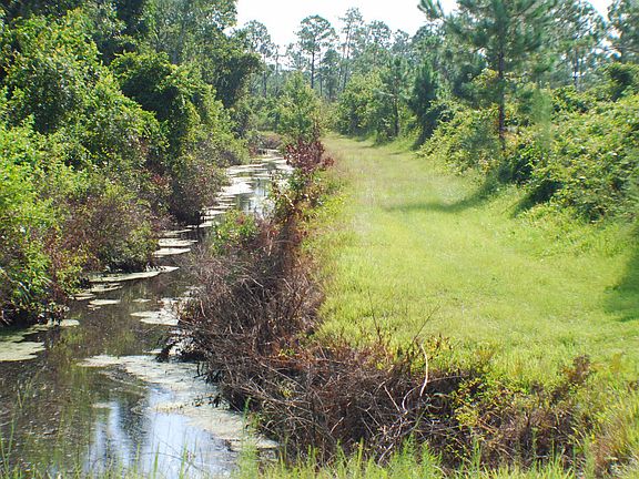 Indian Hammock trails