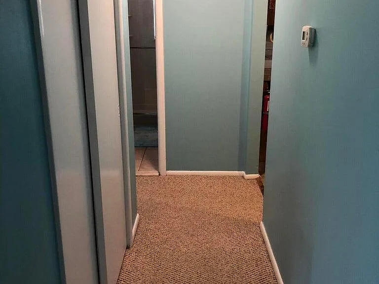 310 Maryland Ave #11A — Photo 10