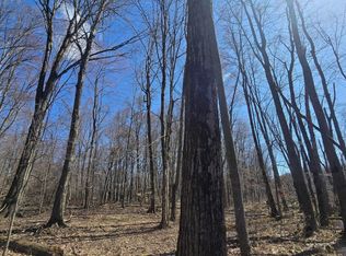 Vl N Somerset Rd, Addison, MI 49220