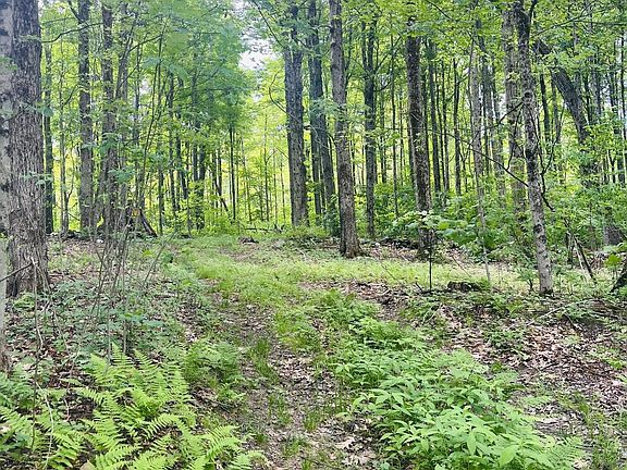 4th image of 0 Greylock Estates Rd