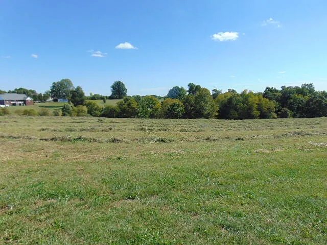13 Evanwood Dr photo 1