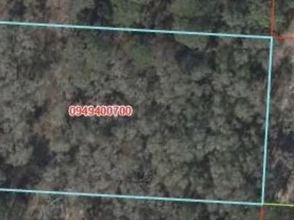 131 LOT 8, MORRISTON, FL 32668