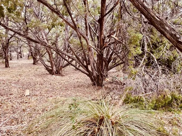 8300 Chestnut Cv, Leander, TX 78645