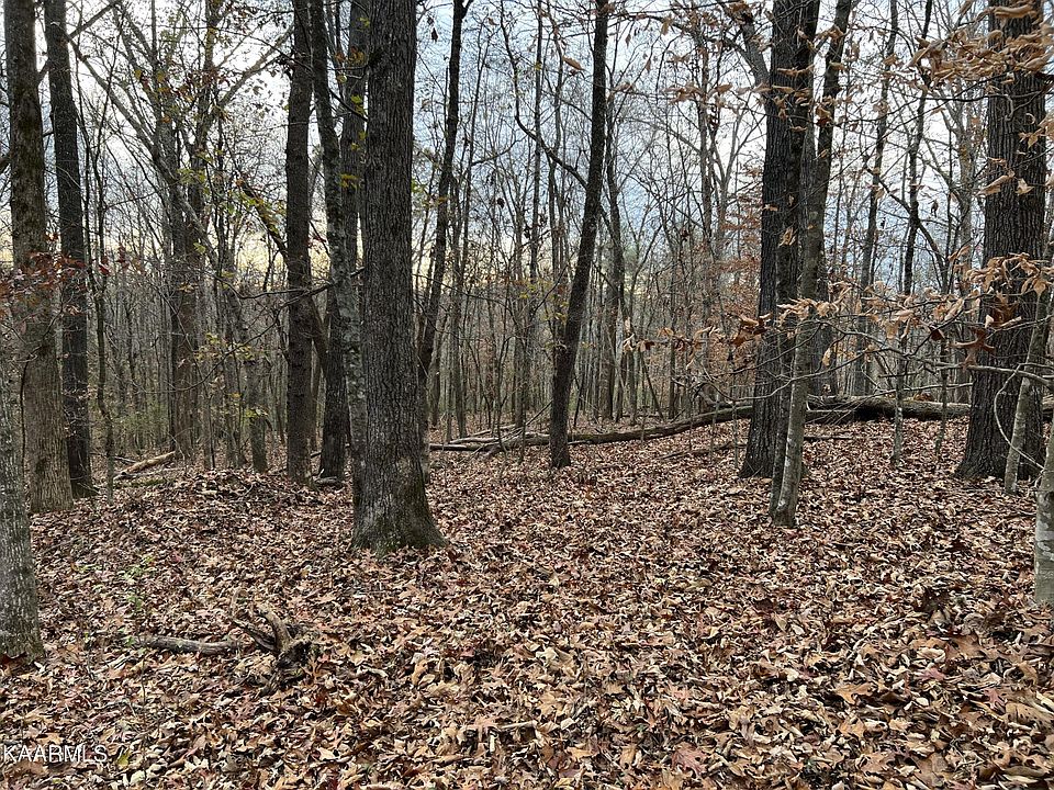 1st image of 0 Ridge Dr Lot 62&64