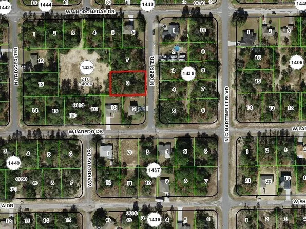 10944 N Ober Ter, Dunnellon, FL 34433