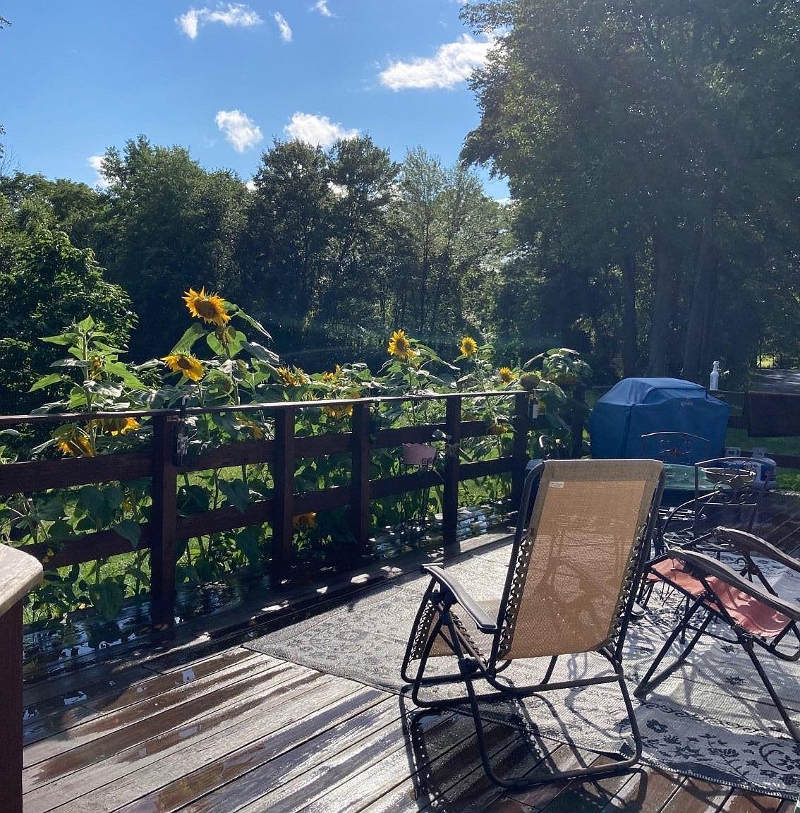 22 Samsonville Road, Kerhonkson, NY 12446 MLS 3489273 Zillow