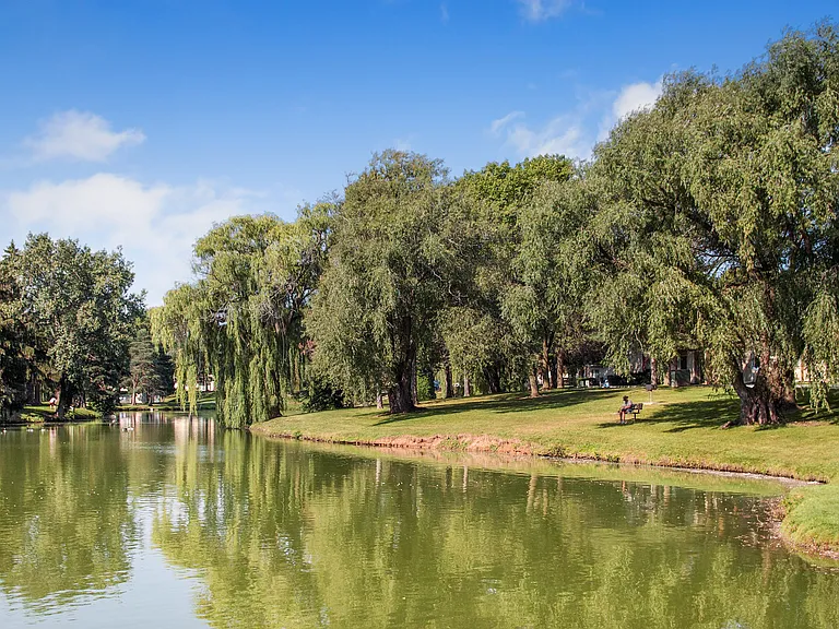 Arbor Lakes Private Pond