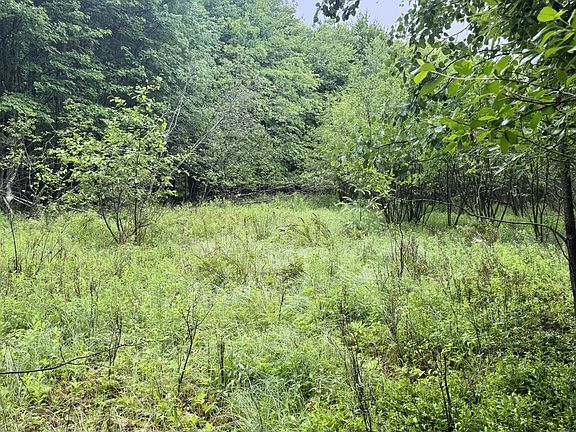 3rd image of 000 Williams Pond Road Road