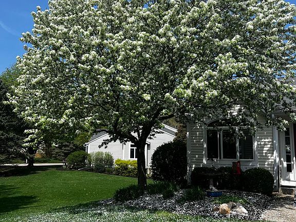 3rd image of 252 Winter Oak E