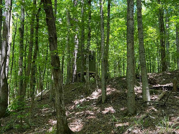 3rd image of 0 Jinks Rd