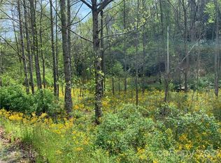 Tbd Pleasant Grove Church Rd, Hendersonville, NC 28739