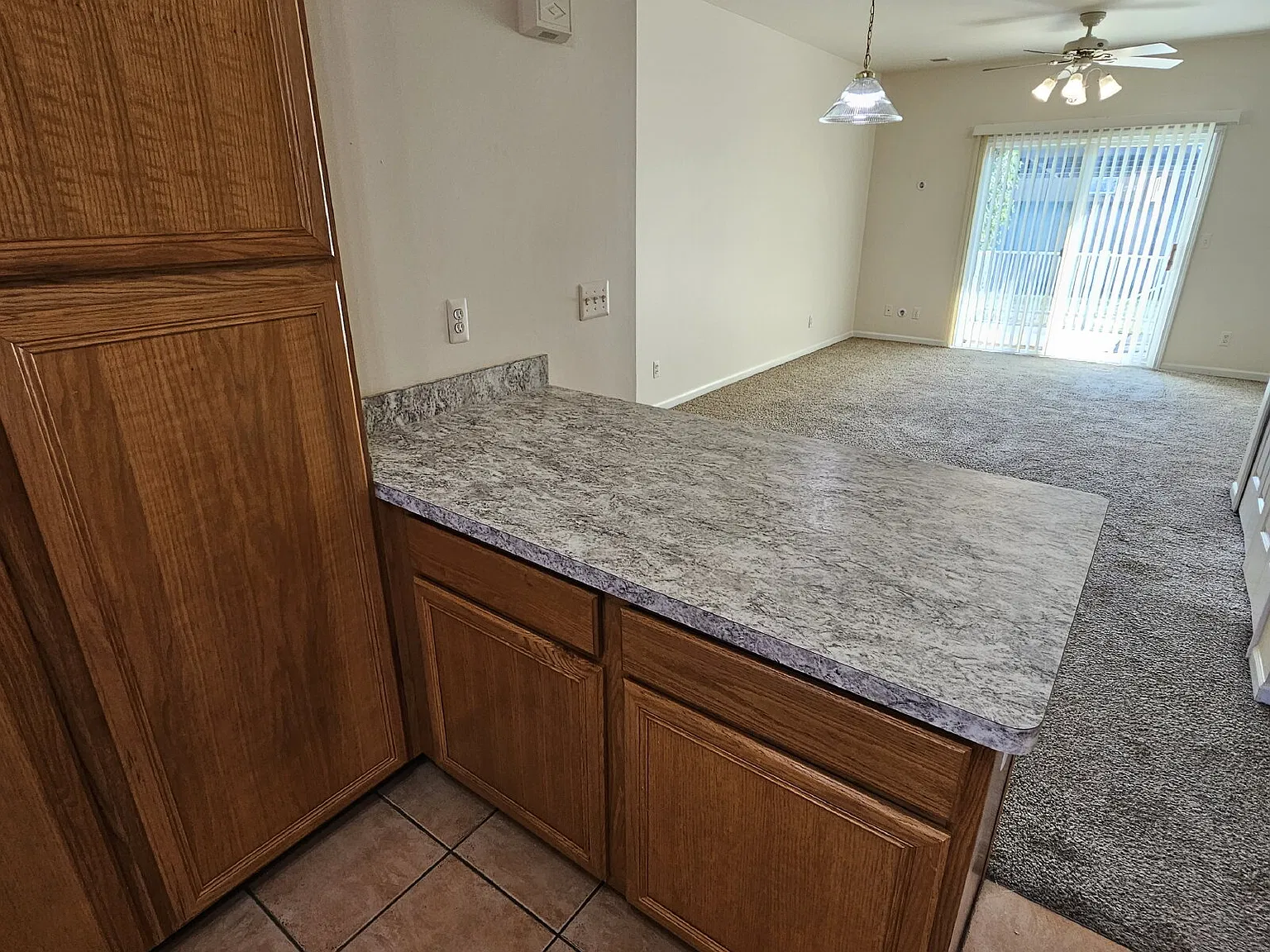 2 bed, 2.0 bath, 1000 sqft, $1,100 — Photo 3