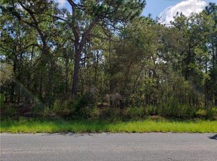 96 Whitewood St, Homosassa, FL 34446