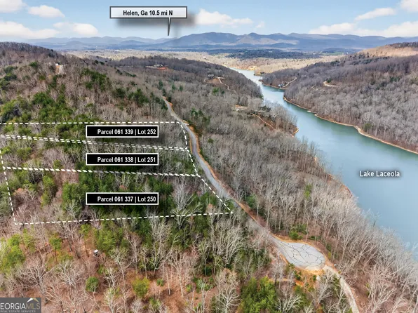 252 S Laceola Rd, Cleveland, GA 30528