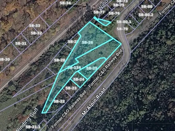 1550 McAlpin Rd, Slab Fork, WV 25920