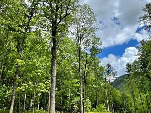 90 Flagstone Road, Cashiers, NC 28717