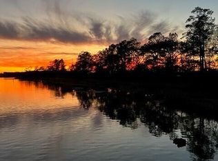 352 Blowing Fresh Dr, Charleston, SC 29492