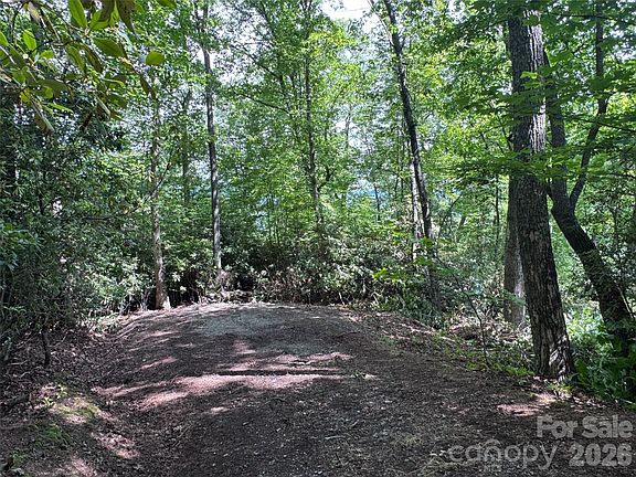 3rd image of 10A Reserve Rd