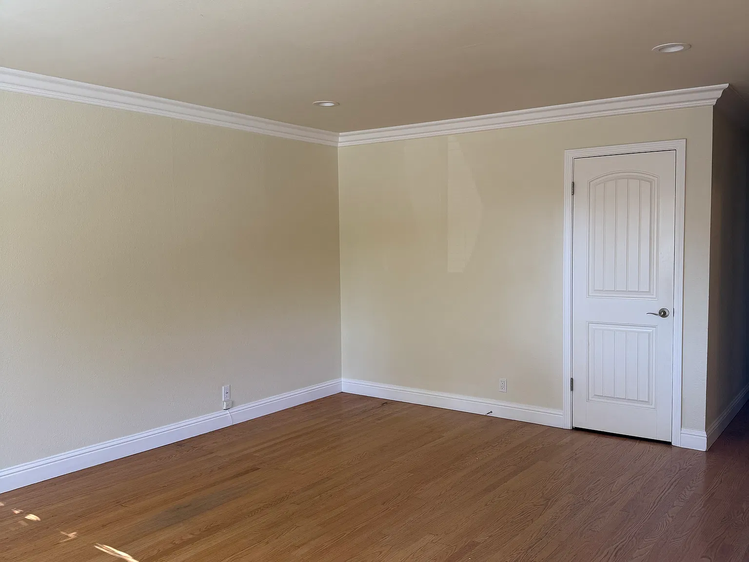 3 bed, 1281 sqft, $3,850 — Photo 4