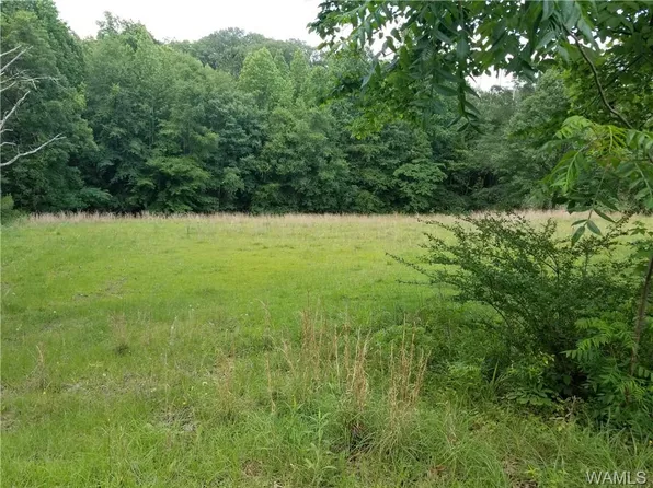 3905 71st Ave, Northport, AL 35473