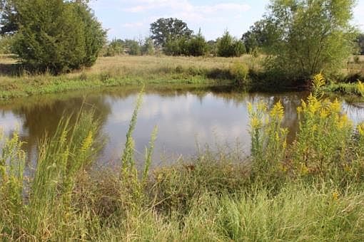 4th image of 300 County Road 4265