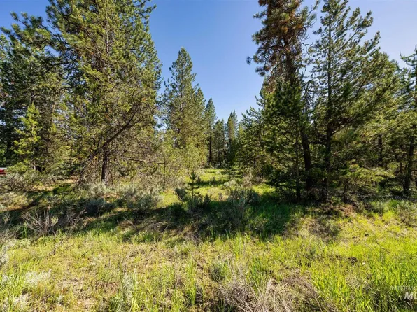110 Fawnlilly Dr, McCall, ID 83638