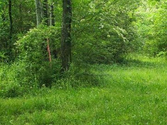2nd image of 6114 Spruce Dr #0