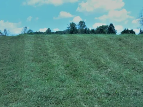 133 Forest Ln N, Blountville, TN 37617