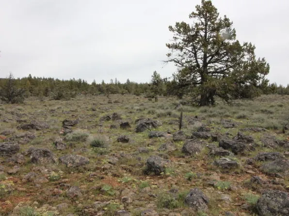 Bluejay Dr Lot 11, Bonanza, OR 97623