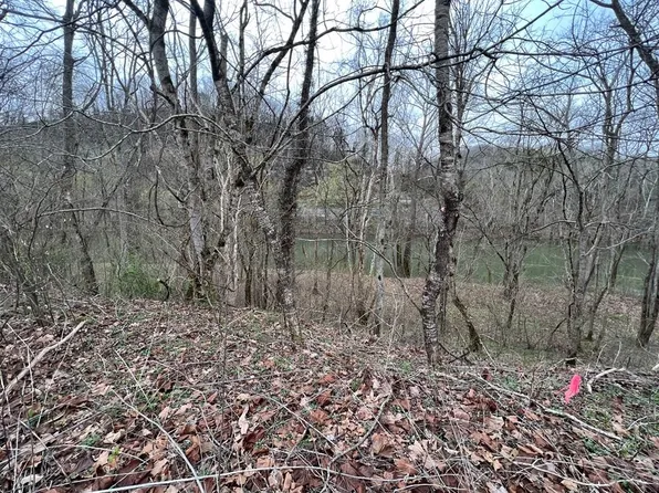 23 & 41 Riverbend Rd, Burkesville, KY 42717