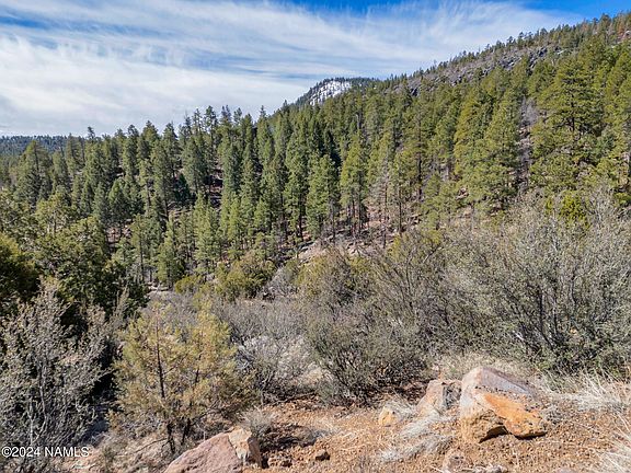 5th image of 1555 Pine Meadow Dr Lot 35