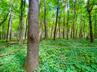 N Concord Rd, Albion, MI 49224