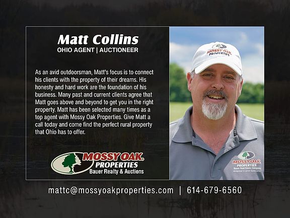Matt Collins