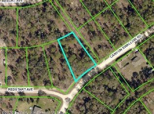 14117 Canyon Swallow Rd, Weeki Wachee, FL 34614