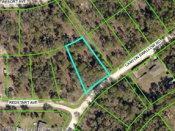 14117 Canyon Swallow Rd, Weeki Wachee, FL 34614