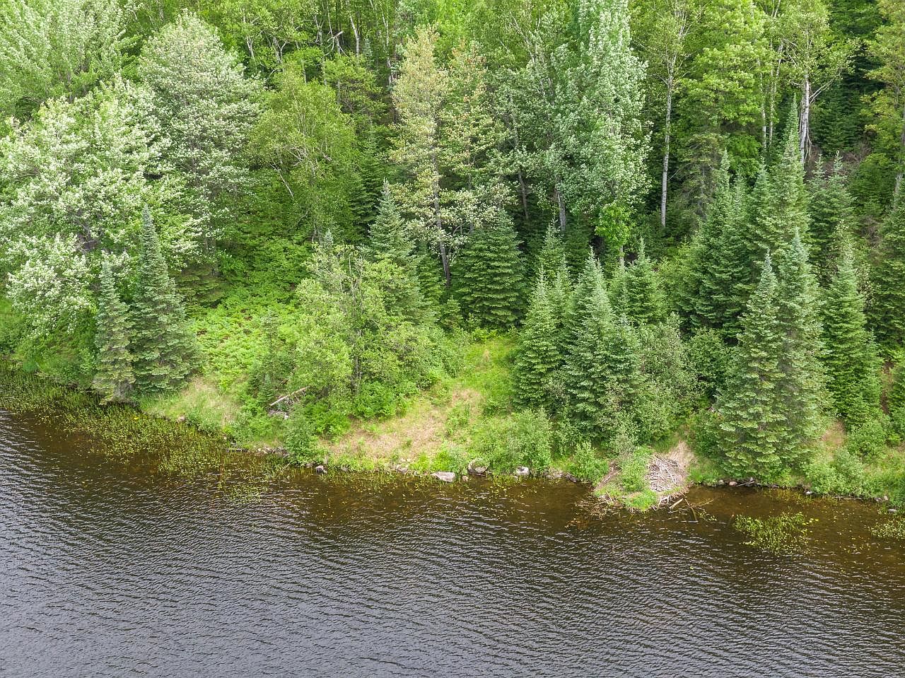 On Chaney Lake Rd, Bessemer, MI 49911 Zillow