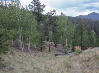 255 Idlewild Dr, Cripple Creek, CO 80813