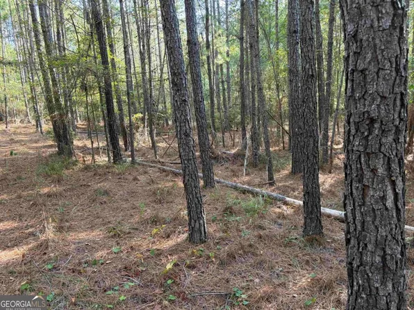 672 Twin Bridges Rd, Eatonton, GA 31024