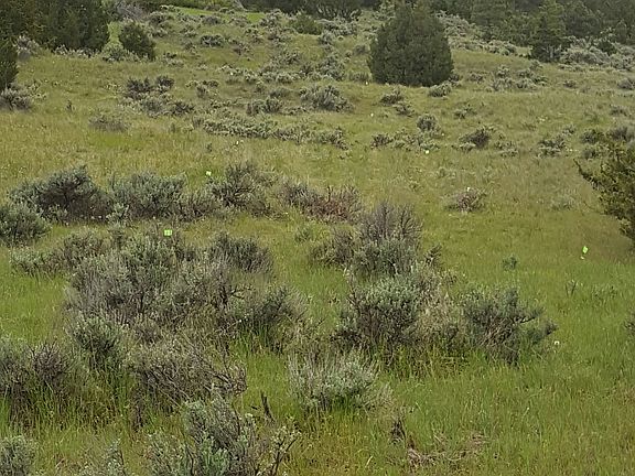 Lots of usable land!