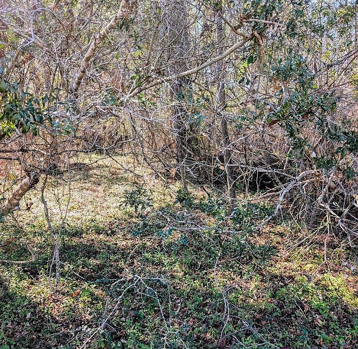 2nd image of 437 Colony Lane SE