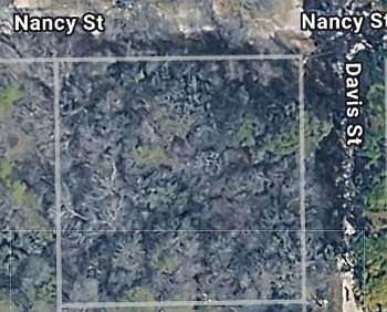 1st image of Nancy Davis St