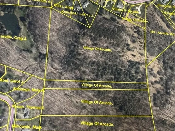 0 Deacon Dr, Arcade, NY 14009