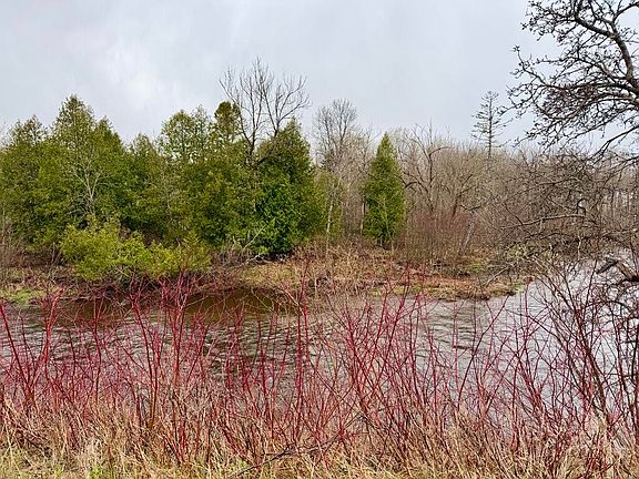 4th image of 12 Elliott Road