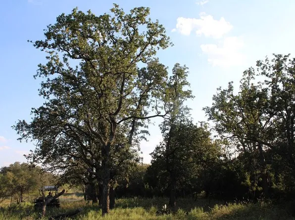 1121 County Road 382, Fredonia, TX 76842