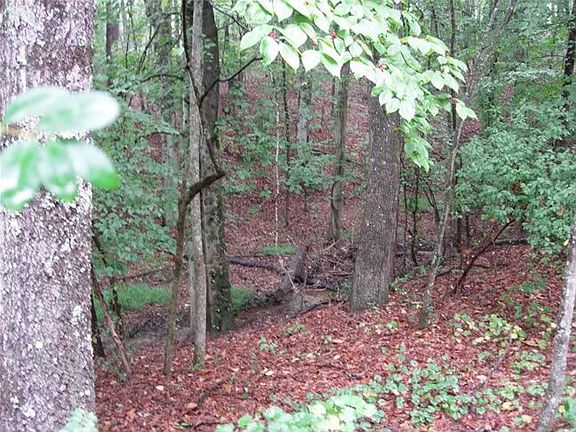 Another view of the creek