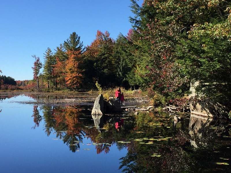 2nd image of 234 Crandberry Pond Rd