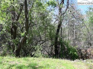 15A River Bend Hills Rd, Crumpler, NC 28617