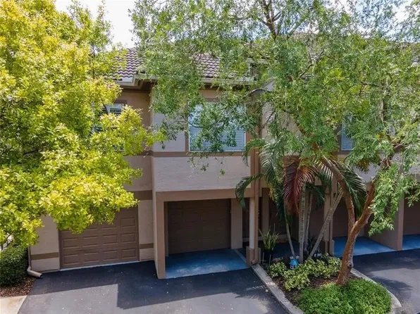 1077 Normandy Trace Rd, Tampa, FL 33602