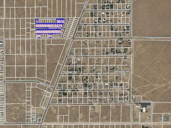 2nd image of Mariel Shotwell Glendower Ave