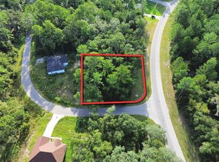 Fisher Rd LOT 13, Ocklawaha, FL 32179